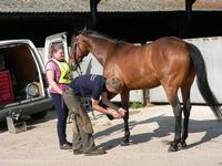 49 Kath Watterson with Midsomer Lady at the farrier