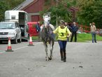 3 Pat Guerin with Zhiwah trotting up after completing the ride