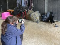 Jackie taking an image of another saddle
