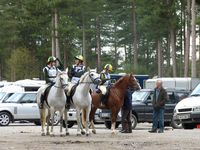 W14 Sophie Webber with Rhydfendigaid Cadno, W15 Helena France with Dot Com and W Emily Pearson with Master Bounce