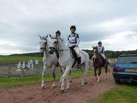 W14 Sophie Webber with Rhydfendigaid Cadno, W15 Helena France with Dot Com and W16 Emily Pierson with Master Bounce