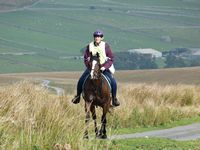 11 Carol Taylor with Marlak Super Dude at The Ullswater Ride 2014