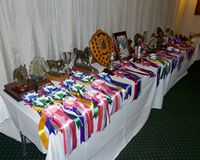 The Grand Array of Awards laid out - thanks to Pennie for working everything out