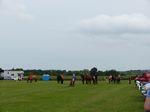 A view across the top of the venue looking towards the Farrier and Vets - 1