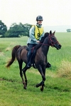 Louise Clark on Autumn Butterfly - Somerford Park July 2004